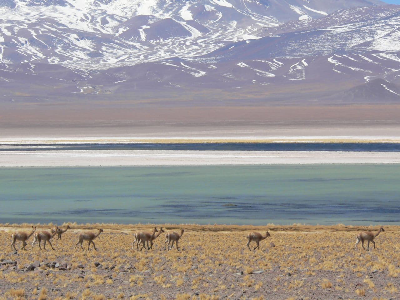 Nevado Tres Cruces